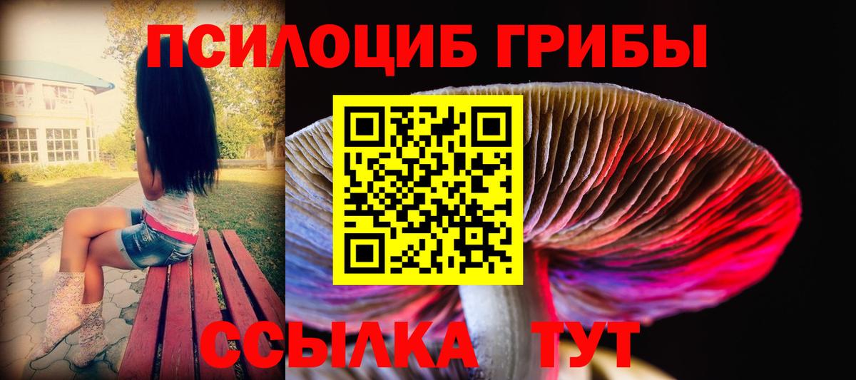 Псилоцибиновые грибы Psilocybine cubensis Скопин